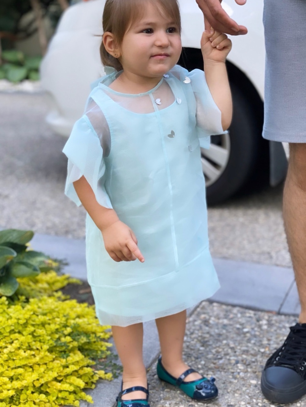 Light Aqua Sheer Toddler Dress